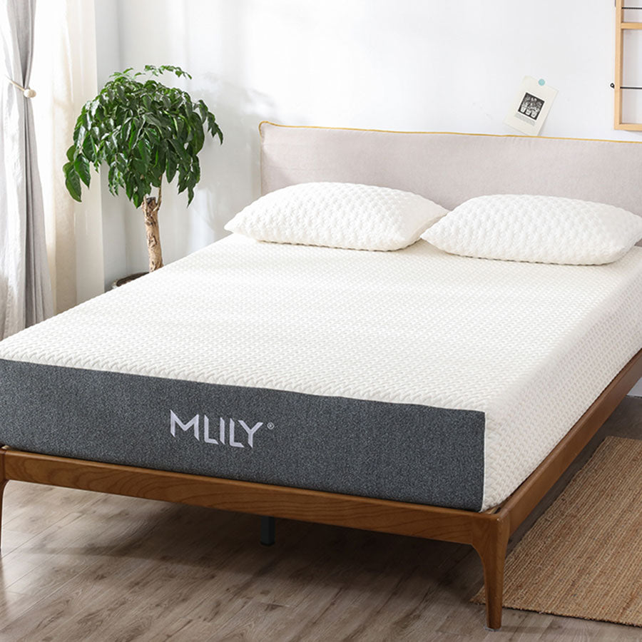 Mlily on sale fusion ortho