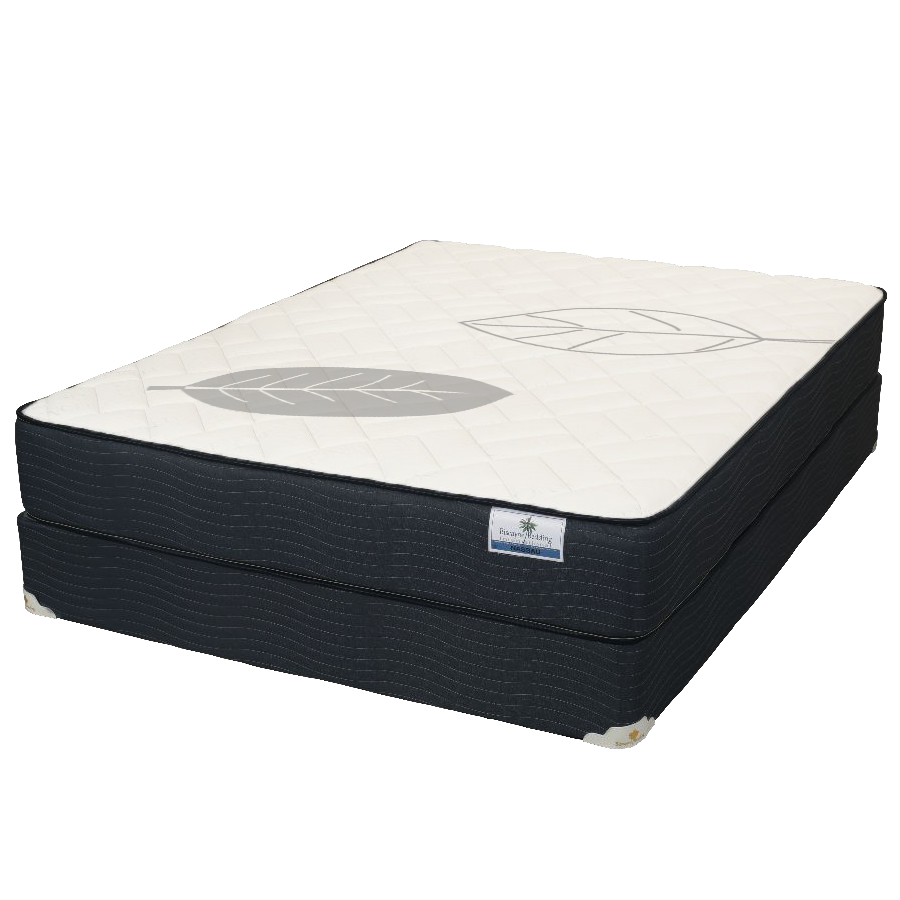 ESCAPE SERENE PLUSH 12'' MATTRESS