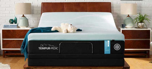 Tempur-Pedic Mattress Reviews