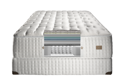 Fleur De Lis Evelyn Firm Tight Top Mattress