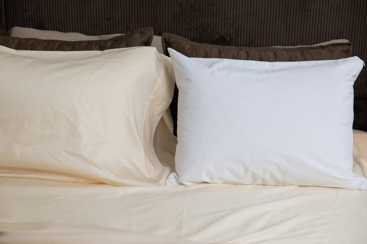 DreamFit StaDry Waterproof Pillow Protector in white