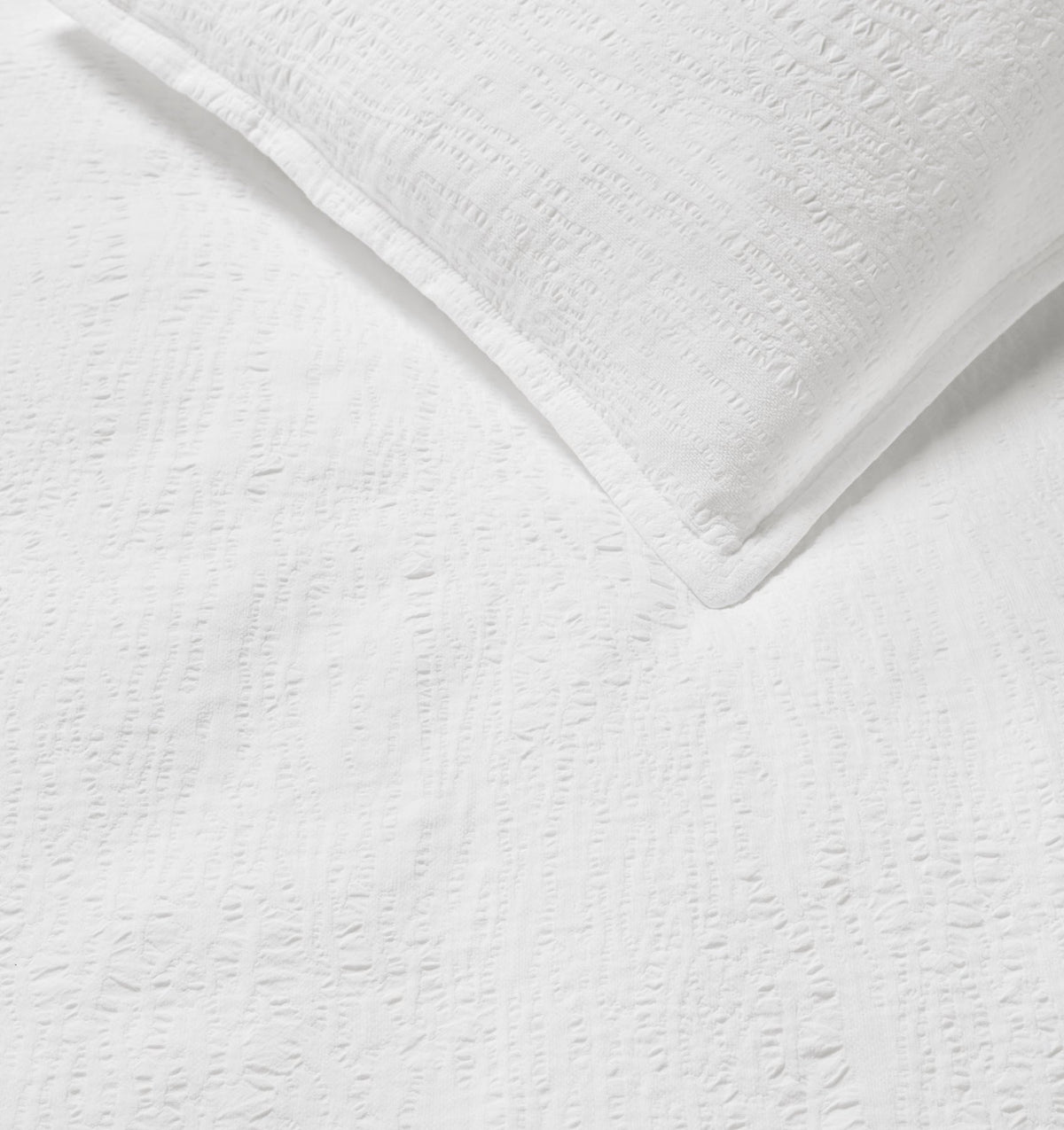 SFERRA Sabino Sham - view 4