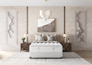 Aireloom Preferred Timeless Odyssey Luxetop M2+ Plush Mattress