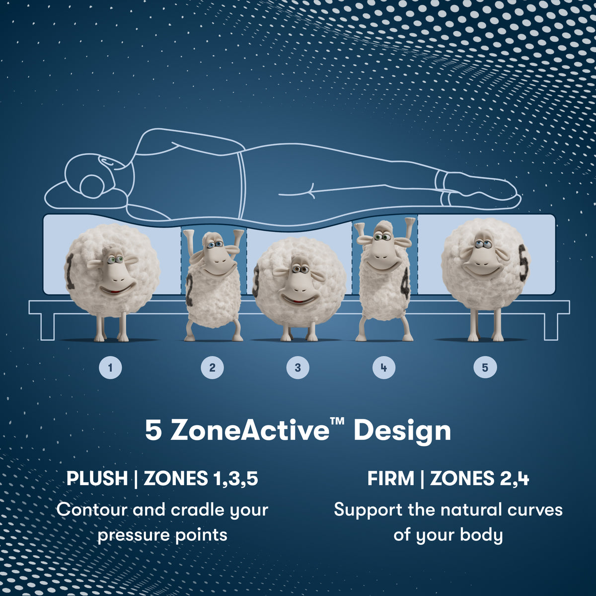 5 ZoneActive Design in the Serta Perfect Sleeper Pro New Paris Medium Mattress