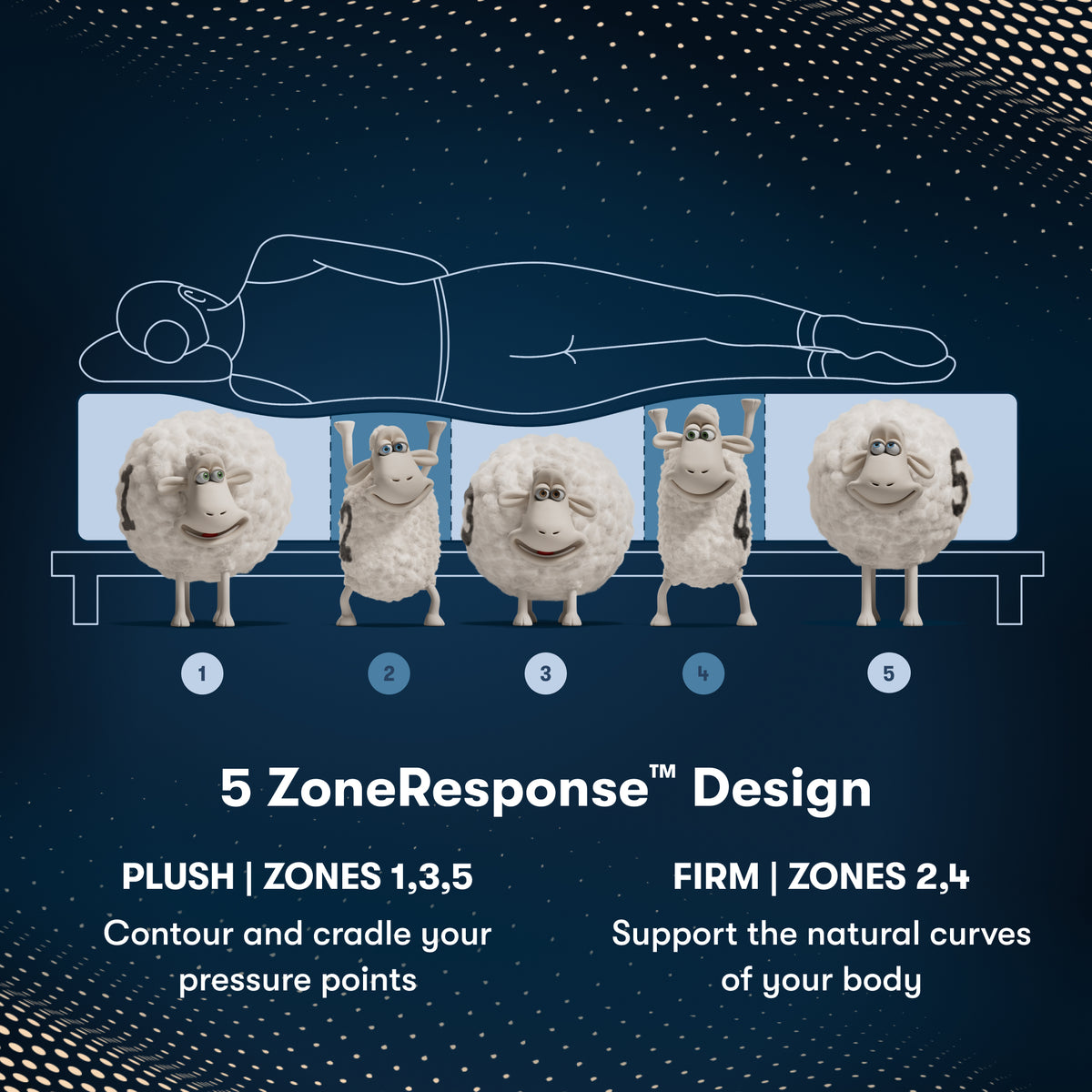 5 ZoneResponse Design in the Serta iComfortPro Chelsea Medium Mattress