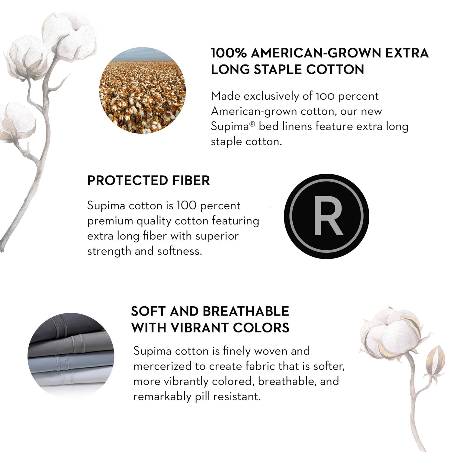 Malouf Woven Supima® Cotton Sheets