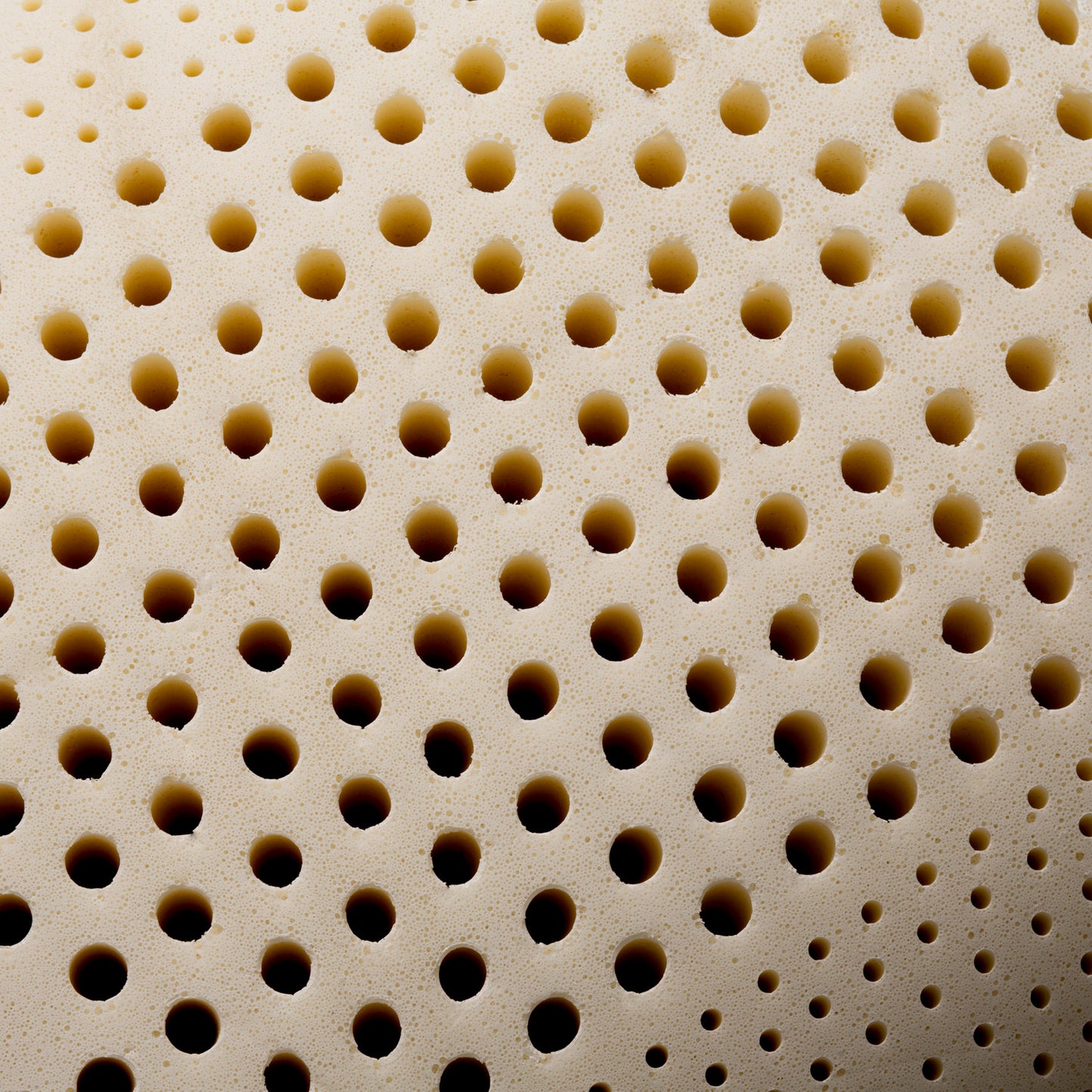 Zoned Talalay Latex Pillow